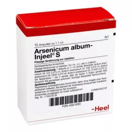 ARSENICUM ALBUM INJEEL Ampułki S, 10 szt
