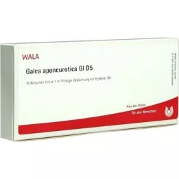 GALEA aponeurotica GL D 5 ampułek, 10X1 ml