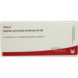 VAGINAE synovial tendinum GL D 5 ampułek, 10X1 ml