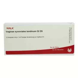 VAGINAE synovial tendinum GL D 5 ampułek, 10X1 ml