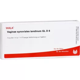 VAGINAE synovial tendinum GL D 8 ampułek, 10X1 ml