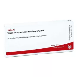 VAGINAE synovial tendinum GL D 8 ampułek, 10X1 ml