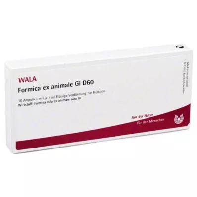 Formica ex Animale GL D 60 ampułek, 10X1 ml Formica ex Animale GL D 60 ampułek, 10X1 ml