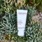ALOE VERA CREME podłoże bez zapachu, 30 ml