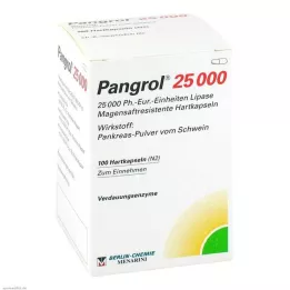 PANGROL 25 000 twardych kapsli z powłoką dojelitową, 100 szt