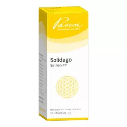 SOLIDAGO SIMILIAPLEX Krople, 50 ml