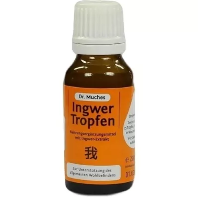 INGWERTROPFEN Dr.Muches, 20 ml