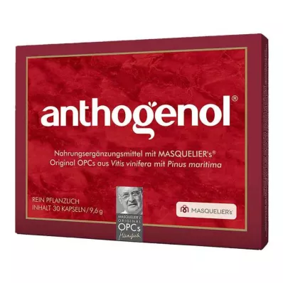 ANTHOGENOL Masquelier OPC Kapsułki, 30 szt