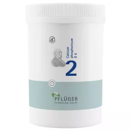 BIOCHEMIE Ploughmans Plaster 2 Calcium phosphoricum D 6 tbl, 4000 szt