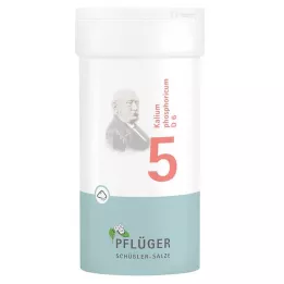BIOCHEMIE Ploughmans Plaster 5 Kalium phosphoricum D 6 Powder, 100 g