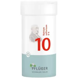 BIOCHEMIE Ploughmans Plaster 10 Natrium sulphuricum D 6 Powder, 100 g