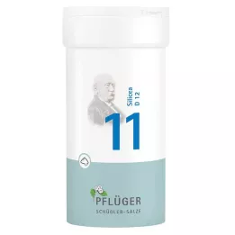 BIOCHEMIE Ploughmans 11 Silicea D 12 Powder, 100 g