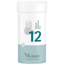 BIOCHEMIE Ploughmans Remedy 12 Calcium sulphuricum D 6 Powder, 100 g