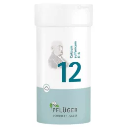 BIOCHEMIE Ploughmans Remedy 12 Calcium sulphuricum D 6 Powder, 100 g