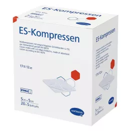 ES-KOMPRESSEN sterylne opakowanie zbiorcze 5x5 cm 12x, 20X5 szt