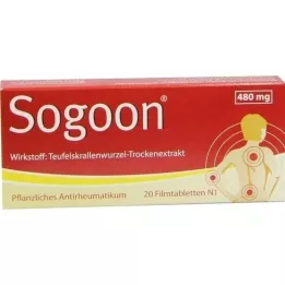 SOGOON Tabletki powlekane 480 mg, 20 szt