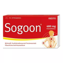 SOGOON Tabletki powlekane 480 mg, 20 szt
