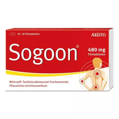 SOGOON Tabletki powlekane 480 mg, 20 szt