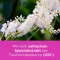 REMIFEMIN Tabletki, 60 szt