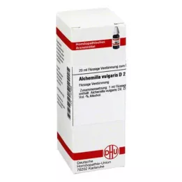 ALCHEMILLA VULGARIS D 2 Rozcieńczenie, 20 ml