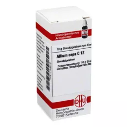 ALLIUM CEPA C 12 kulek, 10 g