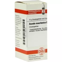 ARUNDO mauritanica C 30 globulek, 10 g