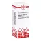 Asterias Rubens D6 Rozcieńczenie (20 ml)