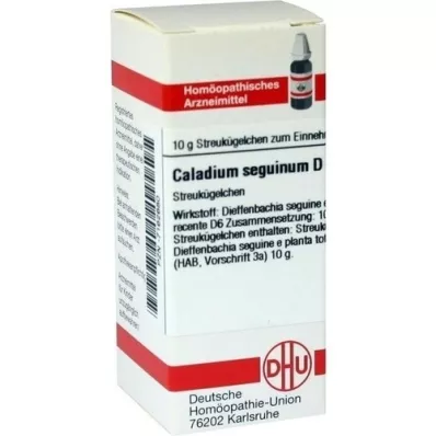 CALADIUM seguinum D 6 globulek, 10 g