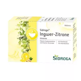 SIDROGA Torebka filtrująca Wellness Ginger Lemon Tea, 20X2,0 g
