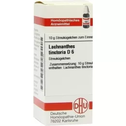 LACHNANTHES tinctoria D 6 kulek, 10 g