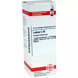 LEDUM Rozcieńczenie C 30, 20 ml