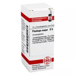 PLANTAGO MAJOR D 6 kulek, 10 g