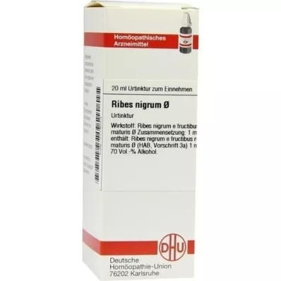 RIBES NIGRUM nalewka macierzysta, 20 ml