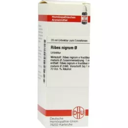 RIBES NIGRUM nalewka macierzysta, 20 ml