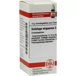 SOLIDAGO VIRGAUREA C 30 kulek, 10 g