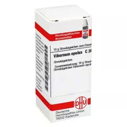 VIBURNUM OPULUS C 30 kulek, 10 g