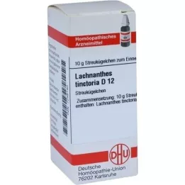 LACHNANTHES tinctoria D 12 kulek, 10 g