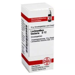 LACHNANTHES tinctoria D 12 kulek, 10 g