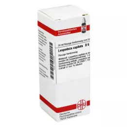 LESPEDEZA CAPITATA D 6 Rozcieńczenie, 20 ml