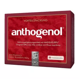 OPC ORIGINAL Masqueliers Anthogenol Capsules, 90 kapsułek