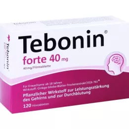 TEBONIN tabletki powlekane forte 40 mg, 120 szt