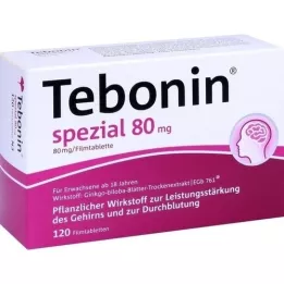 TEBONIN specjalne tabletki powlekane 80 mg, 120 szt
