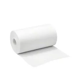 ASKINA Polar mocujący 20 cmx10 m hipoalergiczny, 1 szt
