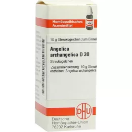 ANGELICA ARCHANGELICA D 30 kulek, 10 g