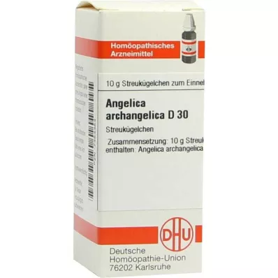 ANGELICA ARCHANGELICA D 30 kulek, 10 g