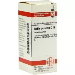 BELLIS PERENNIS C 12 kulek, 10 g