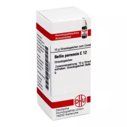 BELLIS PERENNIS C 12 kulek, 10 g