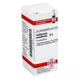 COLLINSONIA CANADENSIS D 4 globulki, 10 g