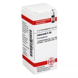JABORANDI C 30 kulek, 10 g