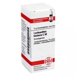 LACHNANTHES tinctoria C 30 globulek, 10 g